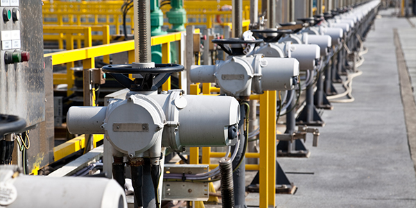 �N�Ļ�����(w��)